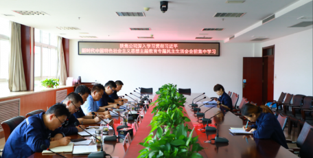 陜焦公司黨委理論學(xué)習(xí)中心組開展主題教育專題民主生活會(huì)會(huì)前集中學(xué)習(xí)
