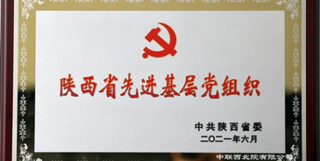 中聯(lián)西北院黨委榮膺陜西省先進基層黨組織榮譽稱號