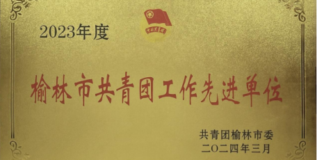 陜建九建集團(tuán)團(tuán)委獲評(píng)2023年度 “榆林市共青團(tuán)工作先進(jìn)單位”