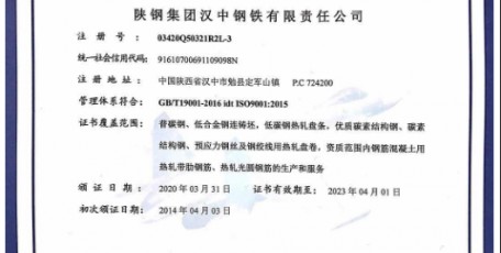 陜鋼集團漢鋼公司順利通過質(zhì)量、環(huán)境、職業(yè)健康安全管理體系外審認證