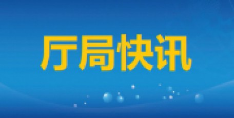 上半年全省經(jīng)濟(jì)運(yùn)行總體平穩(wěn)質(zhì)效提升