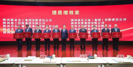 陜藥集團榮獲陜西國資系統(tǒng)“提質(zhì)增效獎”